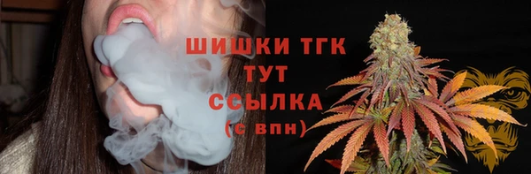 герыч Ельня