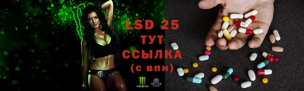 герыч Ельня
