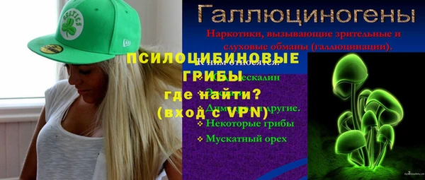 герыч Ельня