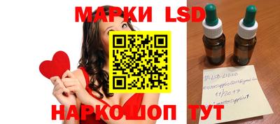 амф Сланцы
