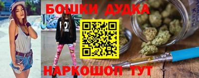 амф Сланцы