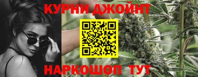 амф Сланцы