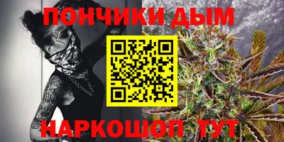 амф Сланцы