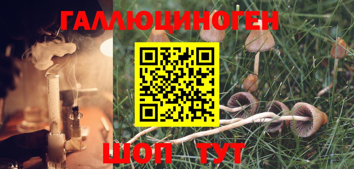 Галлюциногенные грибы MAGIC MUSHROOMS Заречный